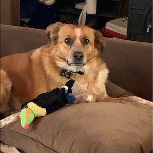 Meet your Posher, Terri